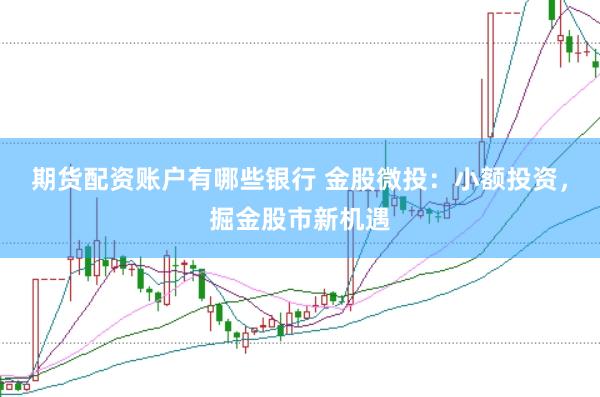 期货配资账户有哪些银行 金股微投：小额投资，掘金股市新机遇