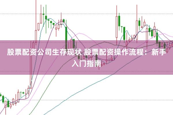 股票配资公司生存现状 股票配资操作流程：新手入门指南