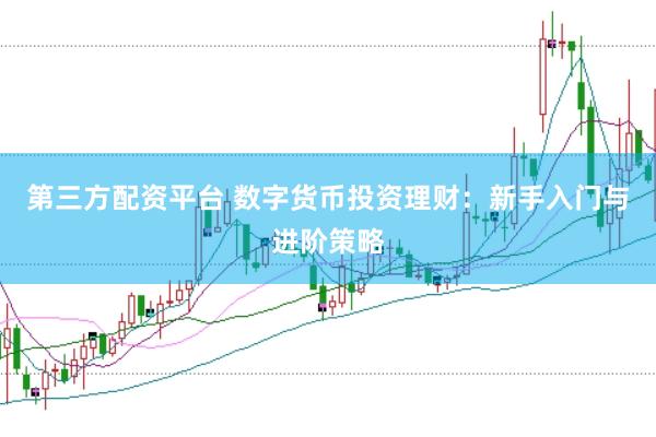 第三方配资平台 数字货币投资理财：新手入门与进阶策略