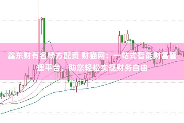 鑫东财有名杨方配资 财猫网：一站式智能财富管理平台，助您轻松实现财务自由