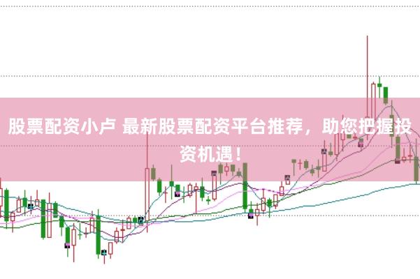 股票配资小卢 最新股票配资平台推荐，助您把握投资机遇！