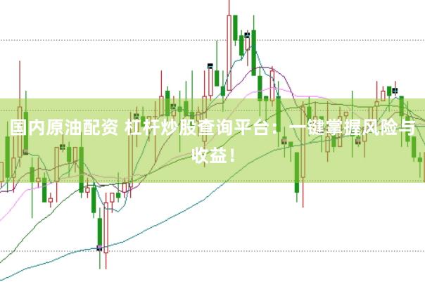 国内原油配资 杠杆炒股查询平台:一键掌握风险与收益!