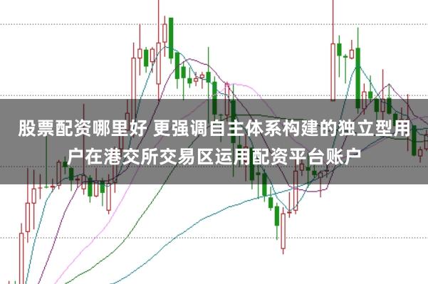 股票配资哪里好 更强调自主体系构建的独立型用户在港交所交易区运用配资平台账户