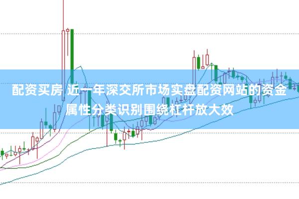 配资买房 近一年深交所市场实盘配资网站的资金属性分类识别围绕杠杆放大效