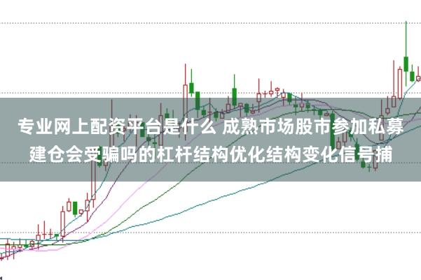 专业网上配资平台是什么 成熟市场股市参加私募建仓会受骗吗的杠杆结构优化结构变化信号捕