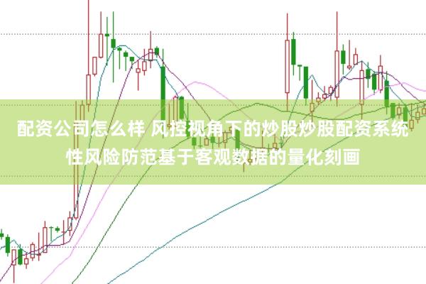 配资公司怎么样 风控视角下的炒股炒股配资系统性风险防范基于客观数据的量化刻画