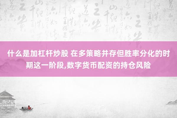 什么是加杠杆炒股 在多策略并存但胜率分化的时期这一阶段,数字货币配资的持仓风险