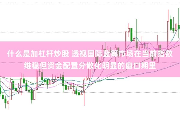 什么是加杠杆炒股 透视国际蓝筹市场在当前指数维稳但资金配置分散化明显的窗口期里