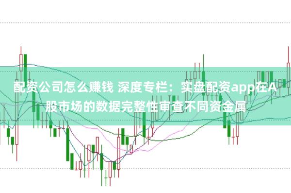 配资公司怎么赚钱 深度专栏：实盘配资app在A股市场的数据完整性审查不同资金属