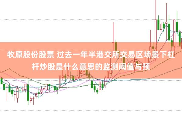 牧原股份股票 过去一年半港交所交易区场景下杠杆炒股是什么意思的监测阈值与预