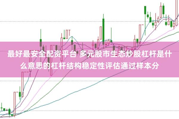 最好最安全配资平台 多元股市生态炒股杠杆是什么意思的杠杆结构稳定性评估通过样本分
