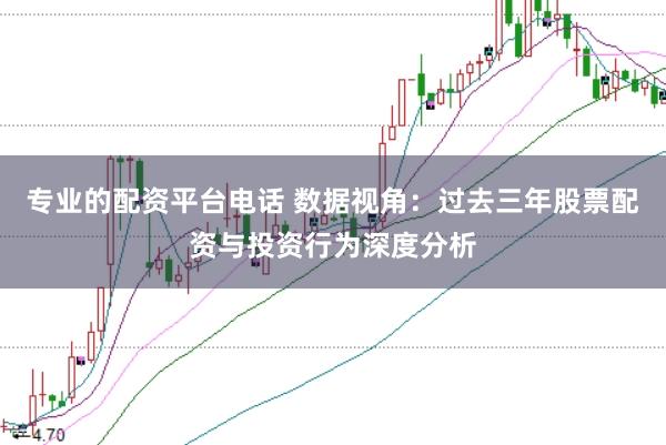 专业的配资平台电话 数据视角：过去三年股票配资与投资行为深度分析