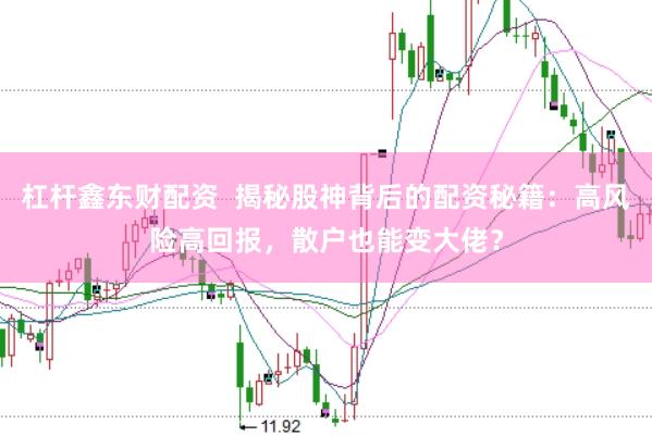 杠杆鑫东财配资  揭秘股神背后的配资秘籍：高风险高回报，散户也能变大佬？