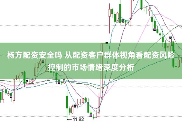 杨方配资安全吗 从配资客户群体视角看配资风险控制的市场情绪深度分析