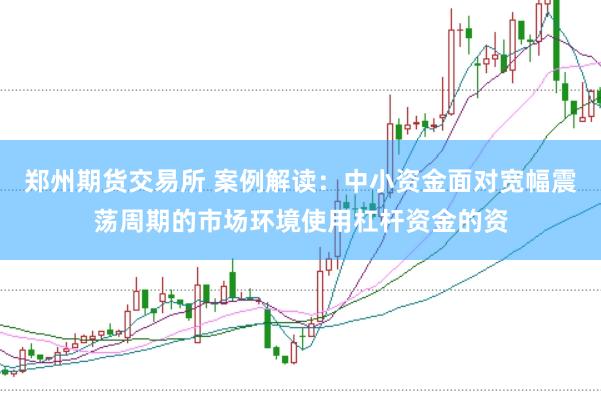 郑州期货交易所 案例解读:中小资金面对宽幅震荡周期的市场环境使用杠杆资金的资