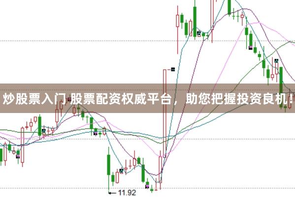 炒股票入门 股票配资权威平台，助您把握投资良机！