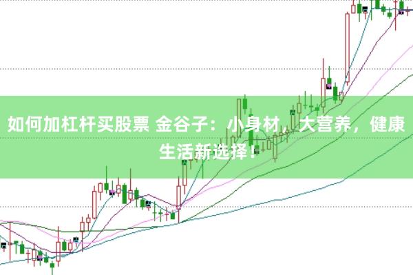 如何加杠杆买股票 金谷子：小身材，大营养，健康生活新选择！
