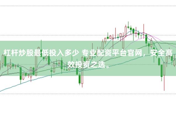 杠杆炒股最低投入多少 专业配资平台官网，安全高效投资之选。