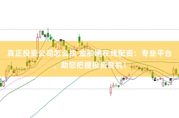 真正投资公司怎么找 金股通在线配资：专业平台，助您把握投资良机！