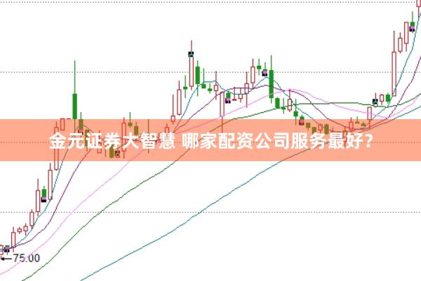 金元证券大智慧 哪家配资公司服务最好？