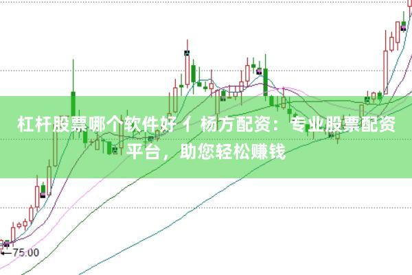 杠杆股票哪个软件好 亻杨方配资：专业股票配资平台，助您轻松赚钱