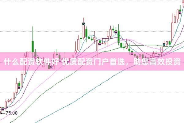 什么配资软件好 优质配资门户首选，助您高效投资
