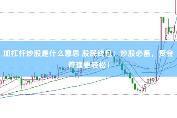 加杠杆炒股是什么意思 股民钱包：炒股必备，资金管理更轻松！
