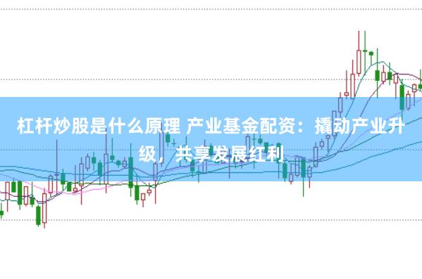 杠杆炒股是什么原理 产业基金配资：撬动产业升级，共享发展红利