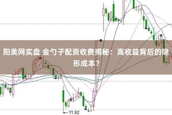阳美网实盘 金勺子配资收费揭秘：高收益背后的隐形成本？