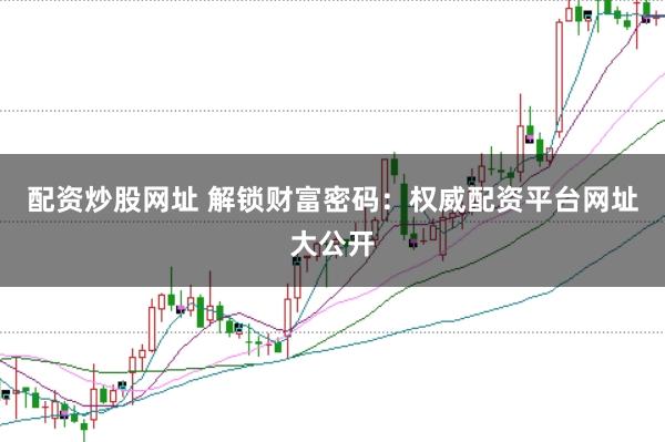 配资炒股网址 解锁财富密码：权威配资平台网址大公开