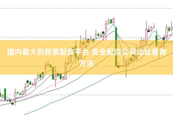 国内最大的股票配资平台 安全配资公司地址查询方法