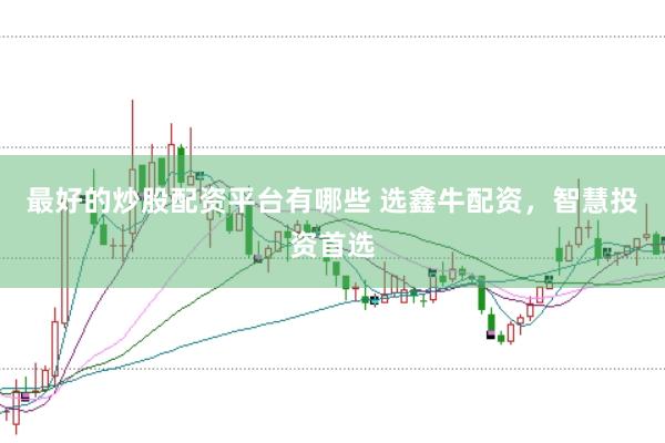最好的炒股配资平台有哪些 选鑫牛配资，智慧投资首选