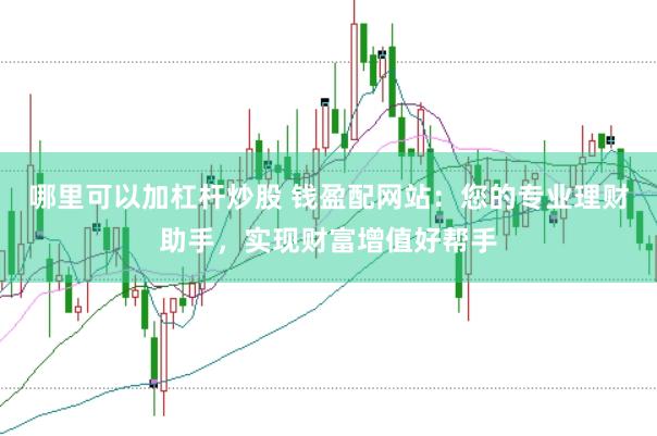 哪里可以加杠杆炒股 钱盈配网站：您的专业理财助手，实现财富增值好帮手